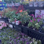 HSME client work: hardware store marketing example