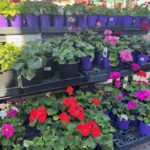 HSME client work: hardware store marketing example